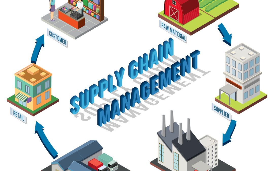 The Role of Business Management in Strengthening Supply Chains